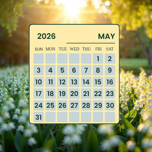 Monthly Training Plan FREE