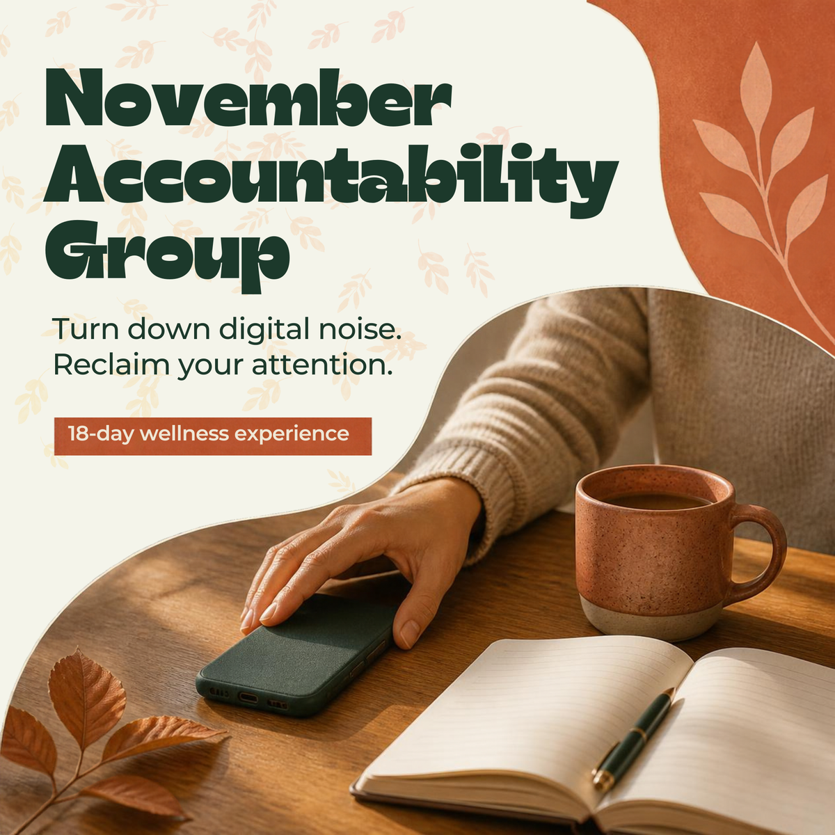 Less Noise. More You. (November Accountability Group)