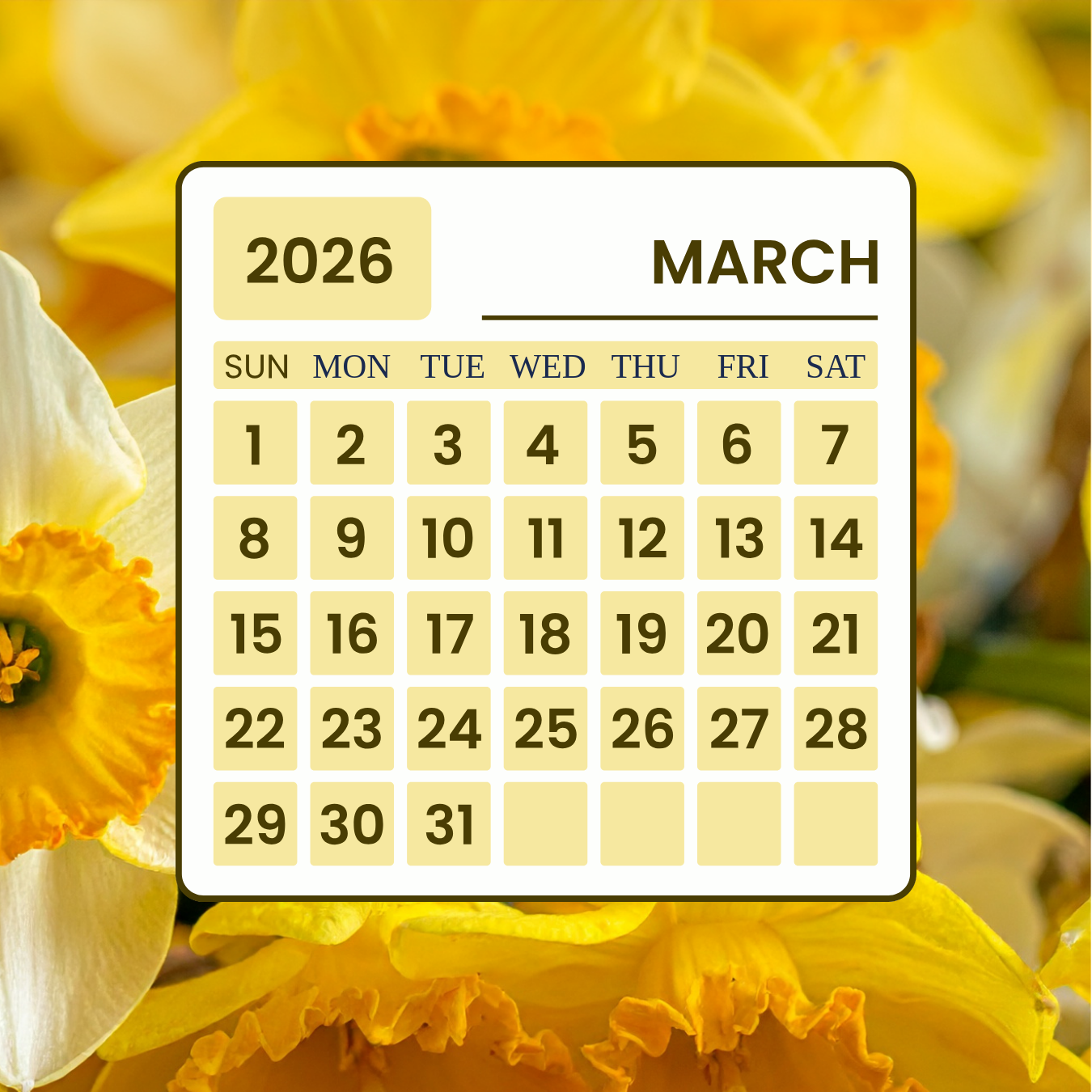 Monthly Training Plan FREE