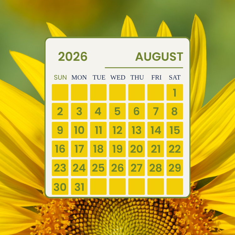 Monthly Training Plan FREE