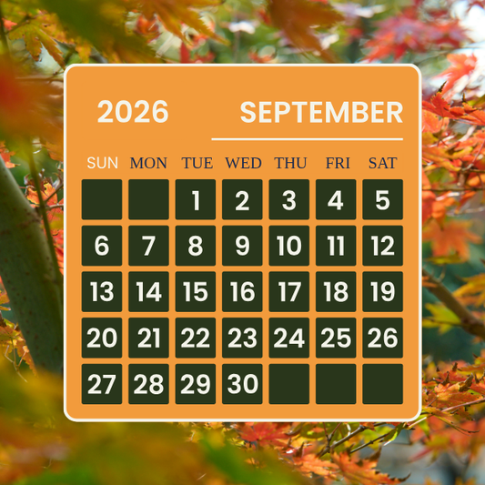 Monthly Training Plan FREE