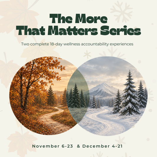 The More That Matters Series | November & December Accountability Bundle